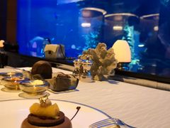 -迪拜帆船酒店海底餐厅