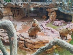 -长鹿旅游休博园