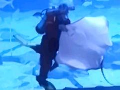 -烟台海昌鲸鲨海洋公园