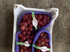 -马陆小张葡萄园农家乐