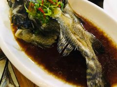 清蒸石斑鱼-庆余生平价生猛海鲜(海棠湾林旺夜市店)