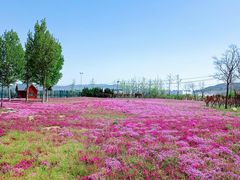 -羊亭河湿地公园