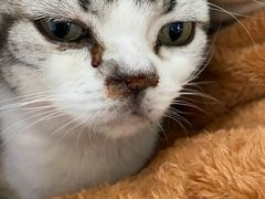 -关爱动物医院·心脏·中兽医·异宠(金牛路分院)