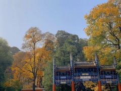 -香山公园