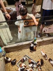 -造物庄园 萌宠纪(苏州湾歌林公园店)