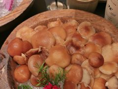 -季季山·云南野生菌火锅(上海首店)