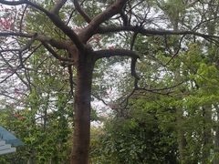 -怡海公园(桂城街道)