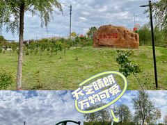 -哈尔滨大剧院