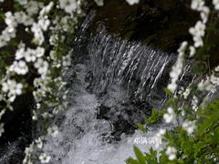 -中国茶叶博物馆(双峰馆区)