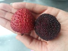 -米兰西点(海城店)