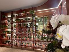 -二酉书店TOYOU BOOKS