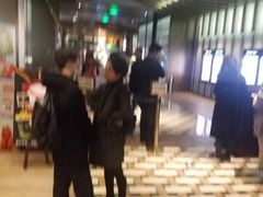 -成都百丽宫影城(LUXE太古里店)