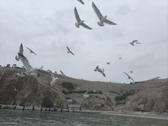-海驴岛(荣成市)