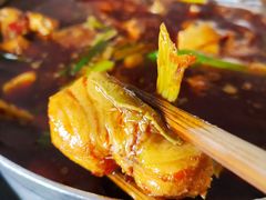-江龙饭店·乌江豆腐鱼(乌江老桥头店)
