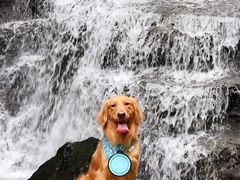 -藏龙百瀑风景区