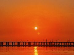 -宝安西湾红树林湿地公园