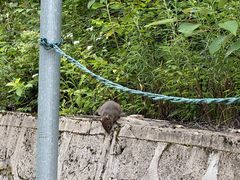 -陕西省红河谷森林公园
