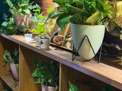 -梧桐树下(云锦世家店)