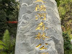 -普洱太阳河森林公园