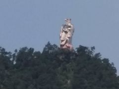 -南山植物园