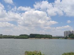 -丁香湖公园