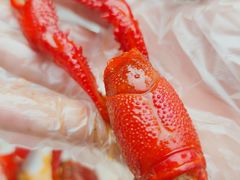 -二钳洞庭虾蟹·江湖菜(成都鹭岛店)