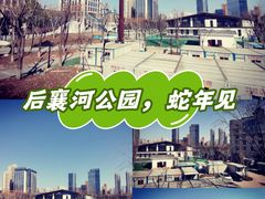 -后襄河公园