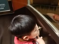 -上海锦江汤臣洲际大酒店壹阶层