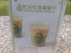 -油梨树AVOCADO TREE(望京店)