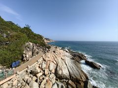 -广东惠东海龟国家级自然保护区