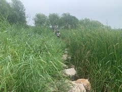 -绿堤公园