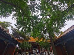 -戏马台景区
