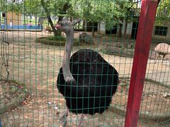 -武汉紫薇都市田园