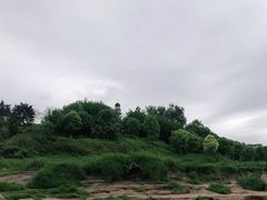 -金海湾滨江公园
