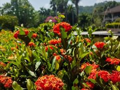 -河源御临门度假村温泉