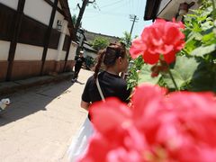 -川西竹海景区