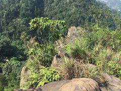 -南山植物园