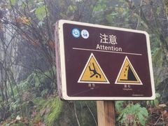 -九峰山