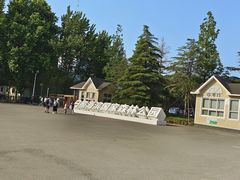 -日照海滨国家森林公园