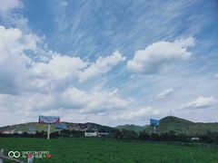 -大连铭湖国际观光牧场