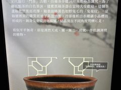 -香港皇家太平洋酒店