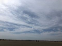 -刘家湾赶海园