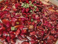-海派美食·家宴海鲜青岛菜·石锅鲽鱼头(东方城店)