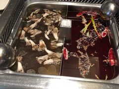 -海底捞火锅(万象城店)