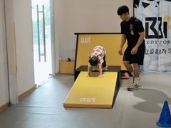 -BBR运动馆·障碍竞技·跑酷·体适能(海珠琶洲店)