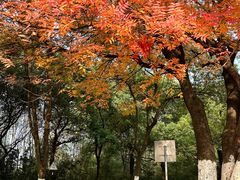 -艾溪湖湿地公园