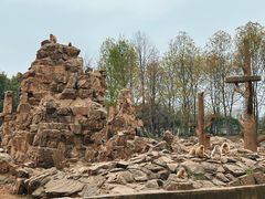 -合肥野生动物园