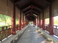 -济南方特东方神画