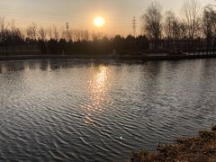 -东郊湿地公园