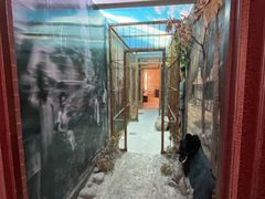 -北京动物园-畅观楼